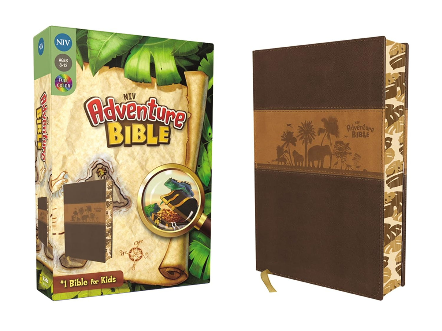 Loaded NIV Adventure Bible