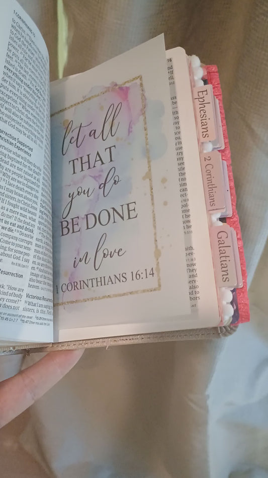 Loaded CSB She Reads Truth Bible